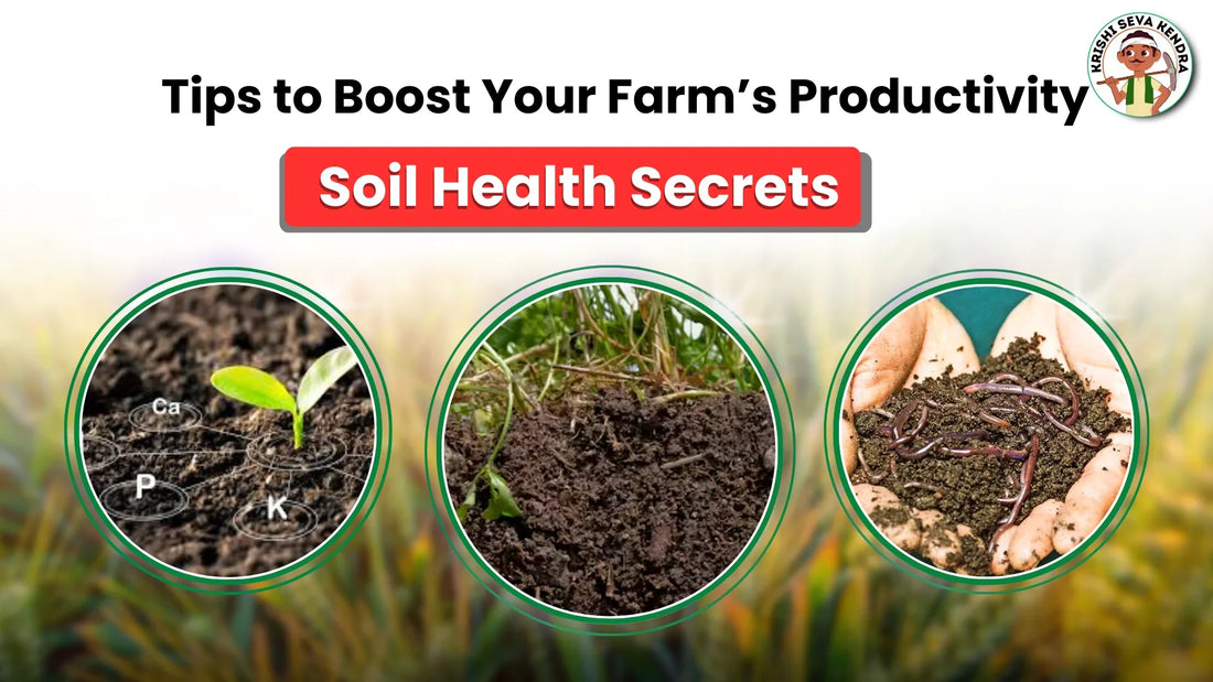 Understanding Soil Health: Tips for Better Farming Results