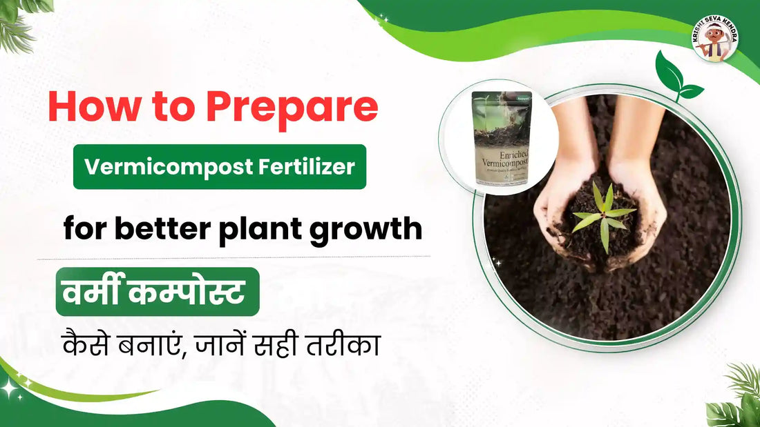  How to Prepare Vermicompost