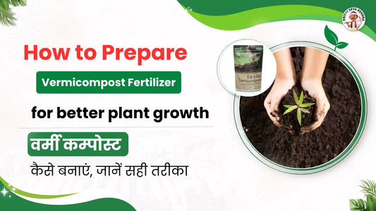  How to Prepare Vermicompost