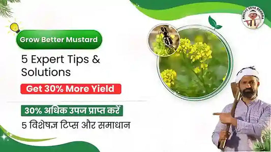 Mustard Farming Made Easy: Tips for Healthy Crops