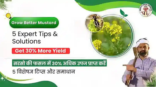 Mustard Farming Made Easy: Tips for Healthy Crops