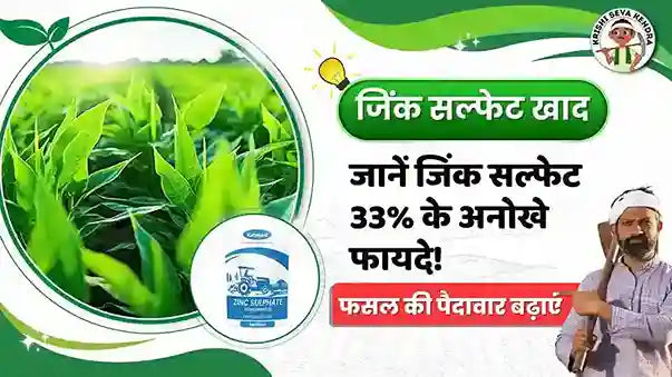 zinc sulphate fertilizer : फसल की उपज और गुणवत्ता बढ़ाने का असरदार उपाय