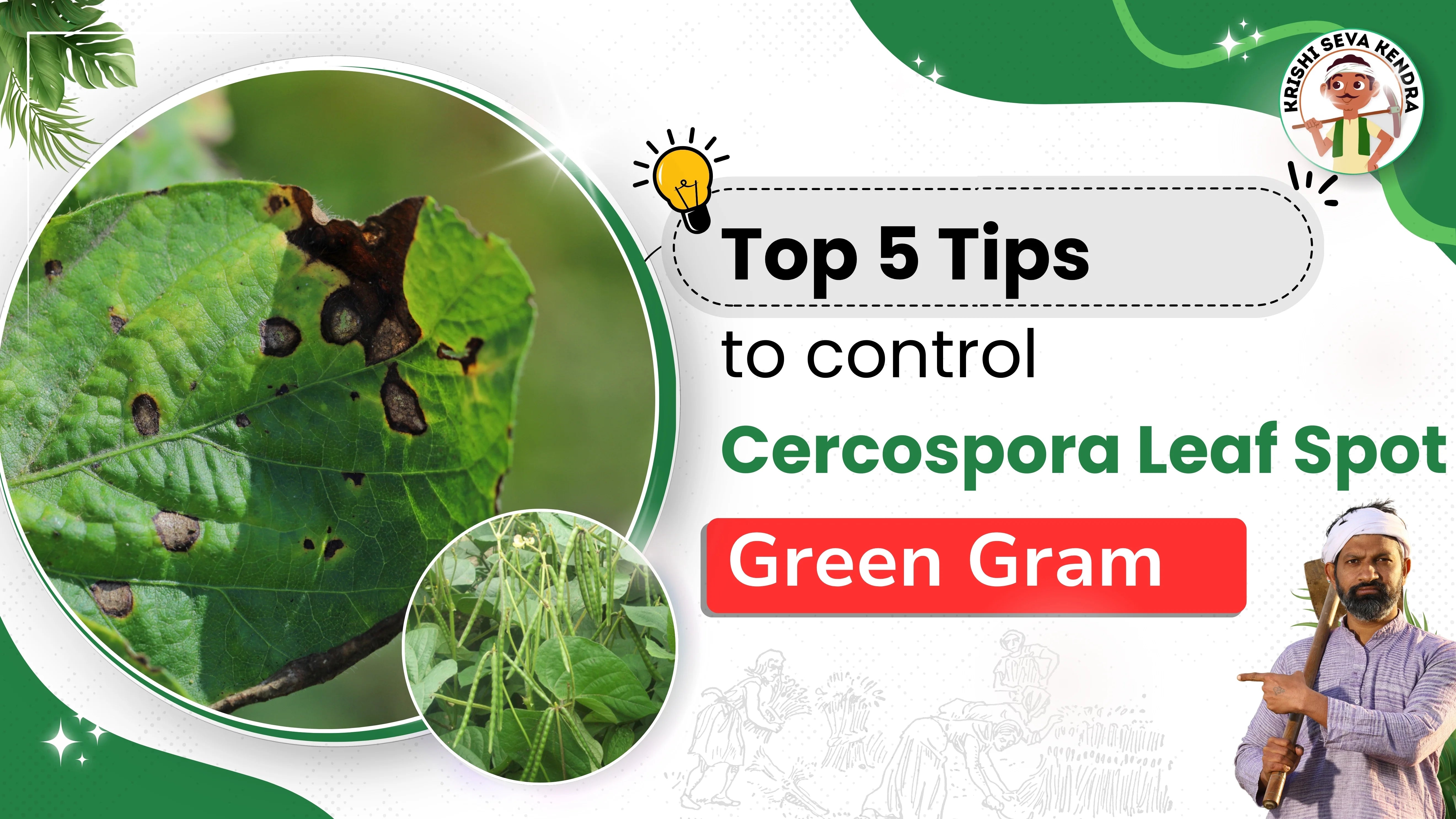 Easy Steps to Beat Cercospora Leaf Spot | Save Your Green Gram from Spots!