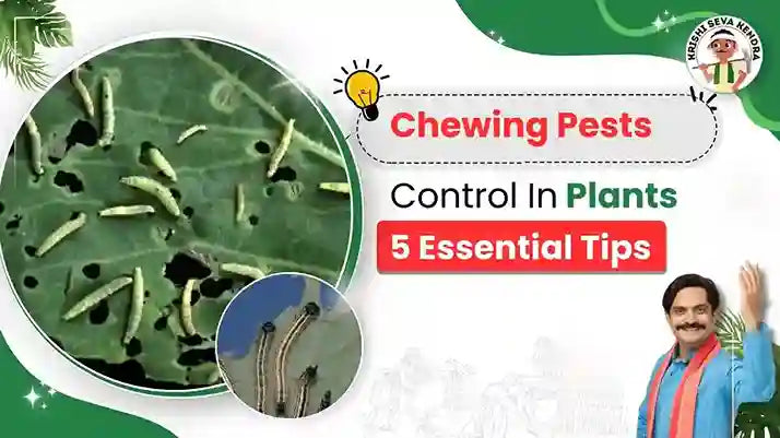 Chewing Pests