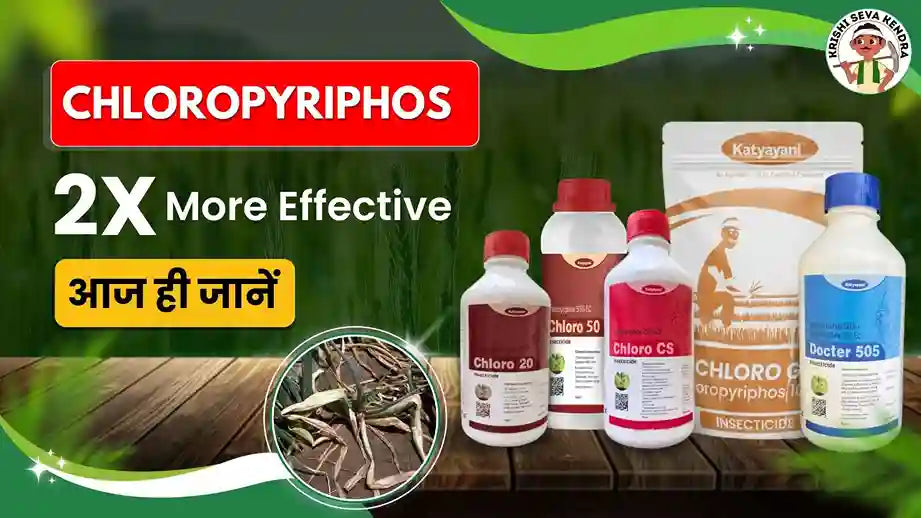 Chloropyriphos Insecticide: Uses and Benefits