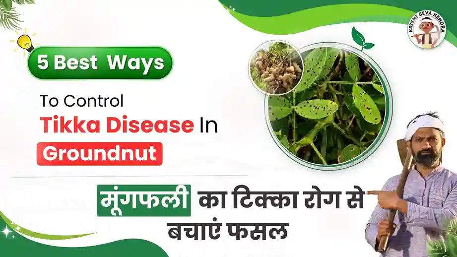 Measure To Control Tikka Disease of Groundnut