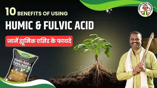 Uses and Benefits of Activated Humic Acids & Fulvic Acid 98% Fertilizer