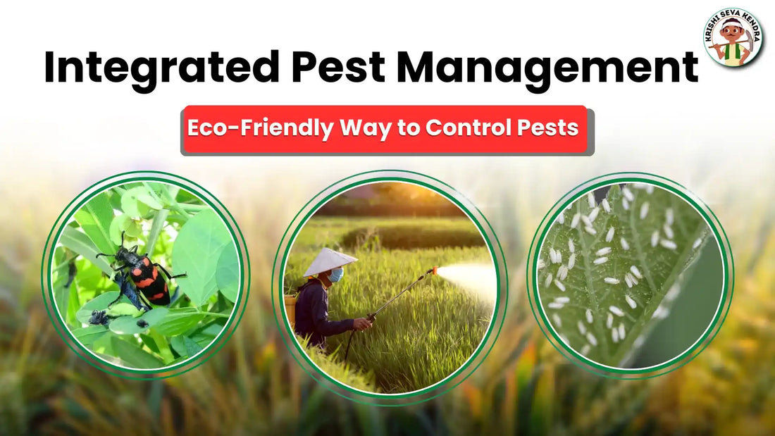 Top integrated pest management techniques every gardener should know