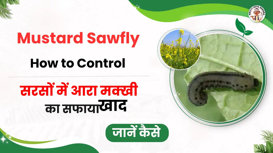 Mustard Sawfly Damage Treatment: A Complete Guide