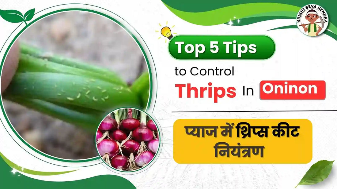 How to Protect Your Onion Crop from Thrips: Tips for Successful Management