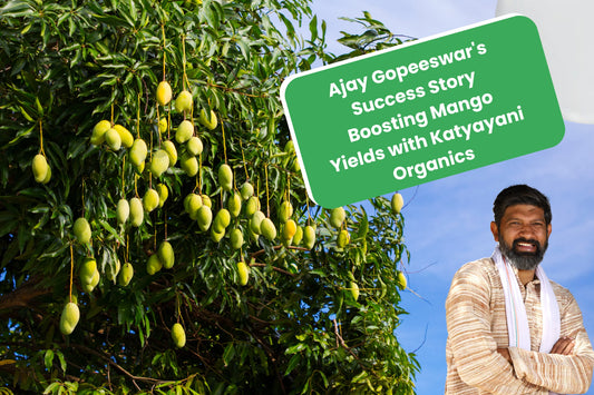 From Blossom to Harvest: How Katyayani Organics Transformed Ajay's Mango Farm 🥭🥭