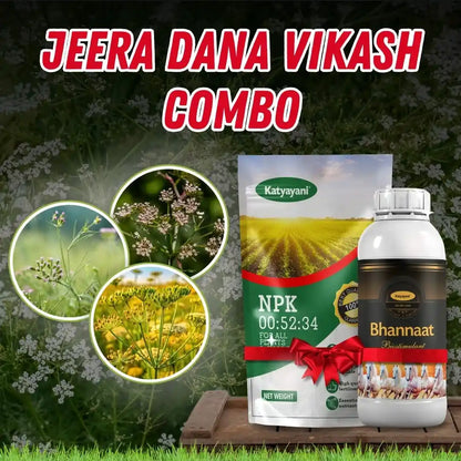 Jeera dana vikash Combo