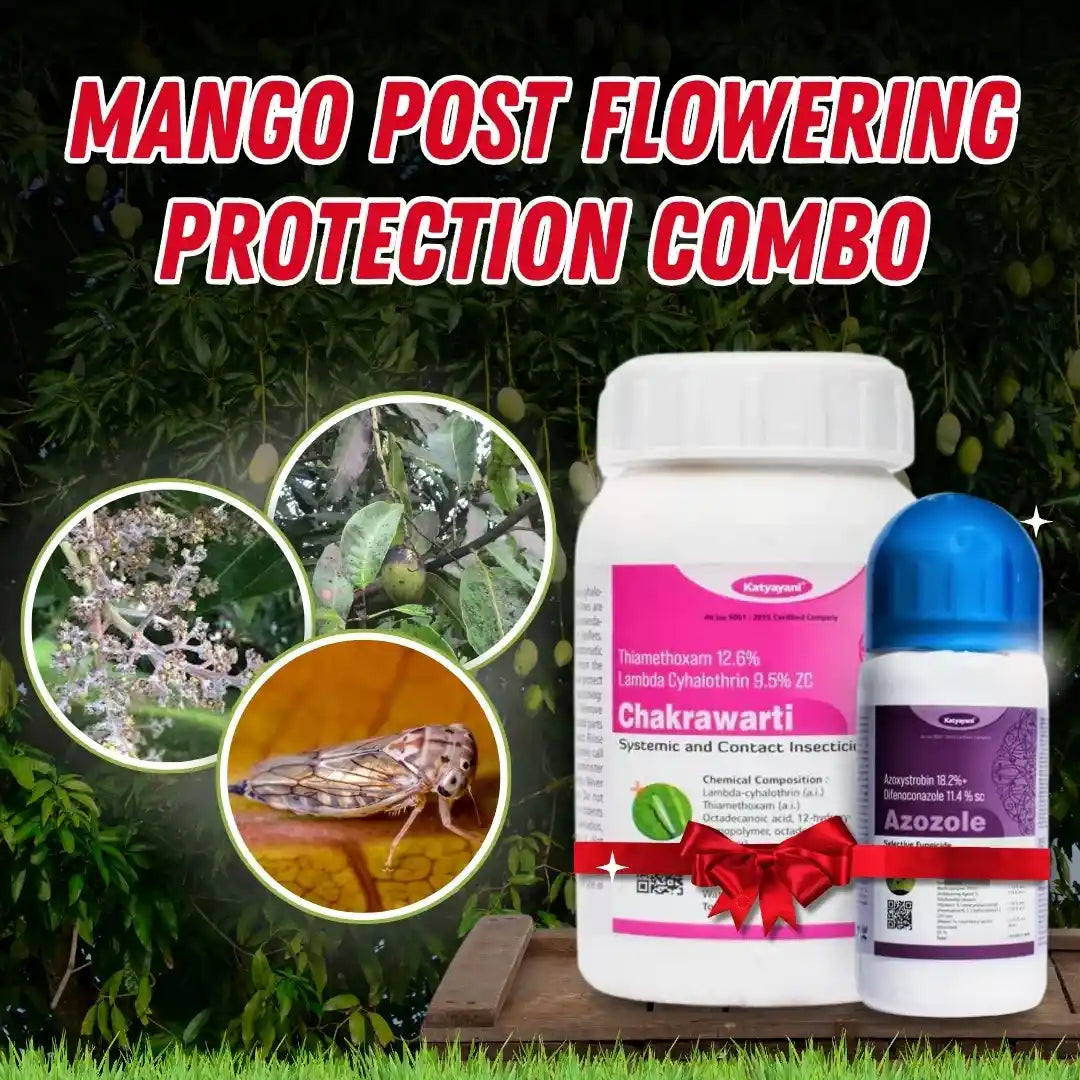 Mango post flowering protection Combo