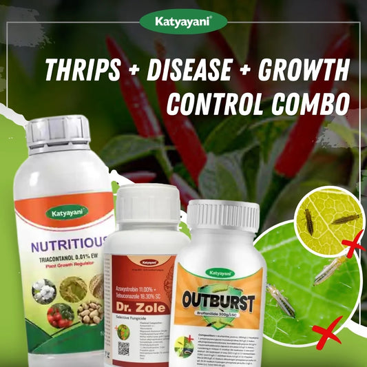 Katyayani Thrips + Disease + Growth Control Combo for Chilli 