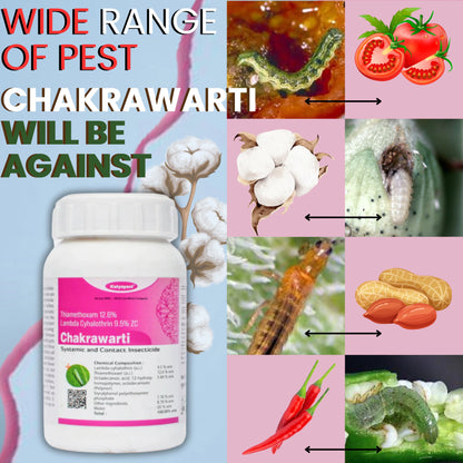 Katyayani Chakrawarti | Thiamethoxam 12.6% + Lambda Cyhalothrin 9.5% ZC |  Chemical Insecticide 