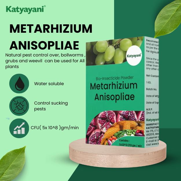 Katyayani Metarhizium Anisopliae Bio Insecticide Powder about
