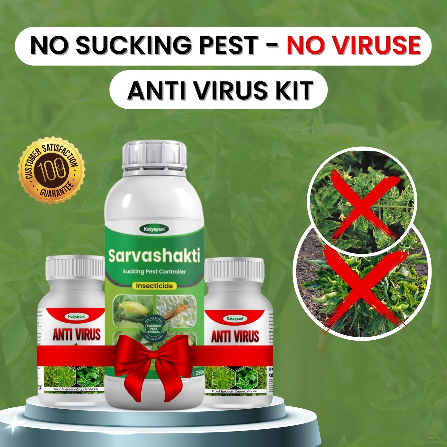 Katyayani Anti Virus Kit (Sarvashakti 250ml + Anti Virus 500ml(250ml x 2)