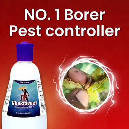 KATYAYANI CHAKRAVEER | CHLORANTRANILIPROLE 18.5 % SC | CHEMICAL INSECTICIDE | No. 1 borer pest controller