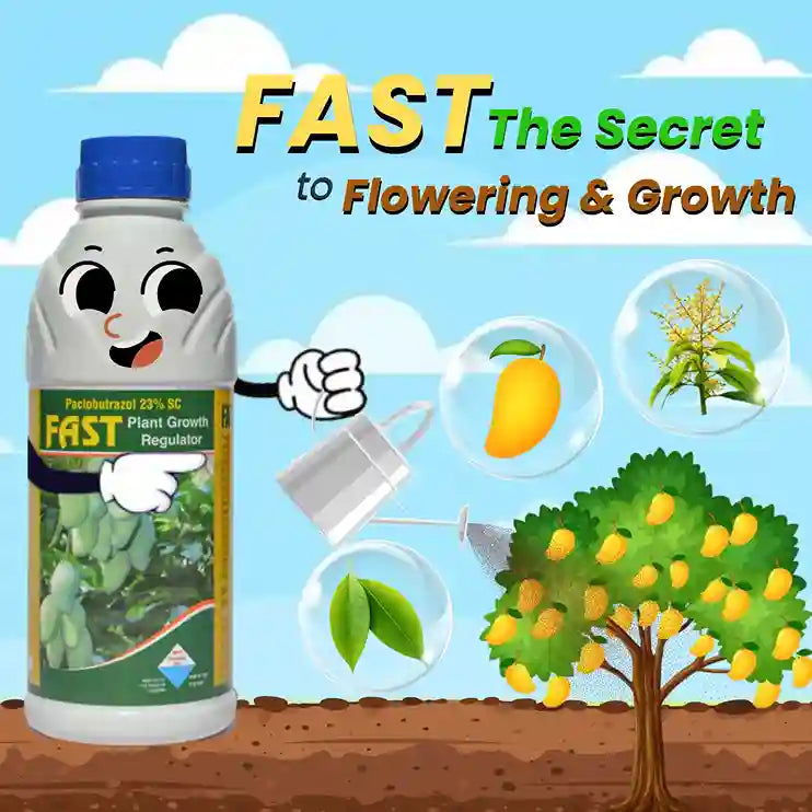 KATYAYANI FAST | PACLOBUTRAZOL 23% SC | PLANT GROWTH REGULATOR