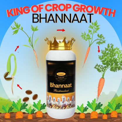 KATYAYANI BHANNAAT | PLANT GROWTH REGULATOR
