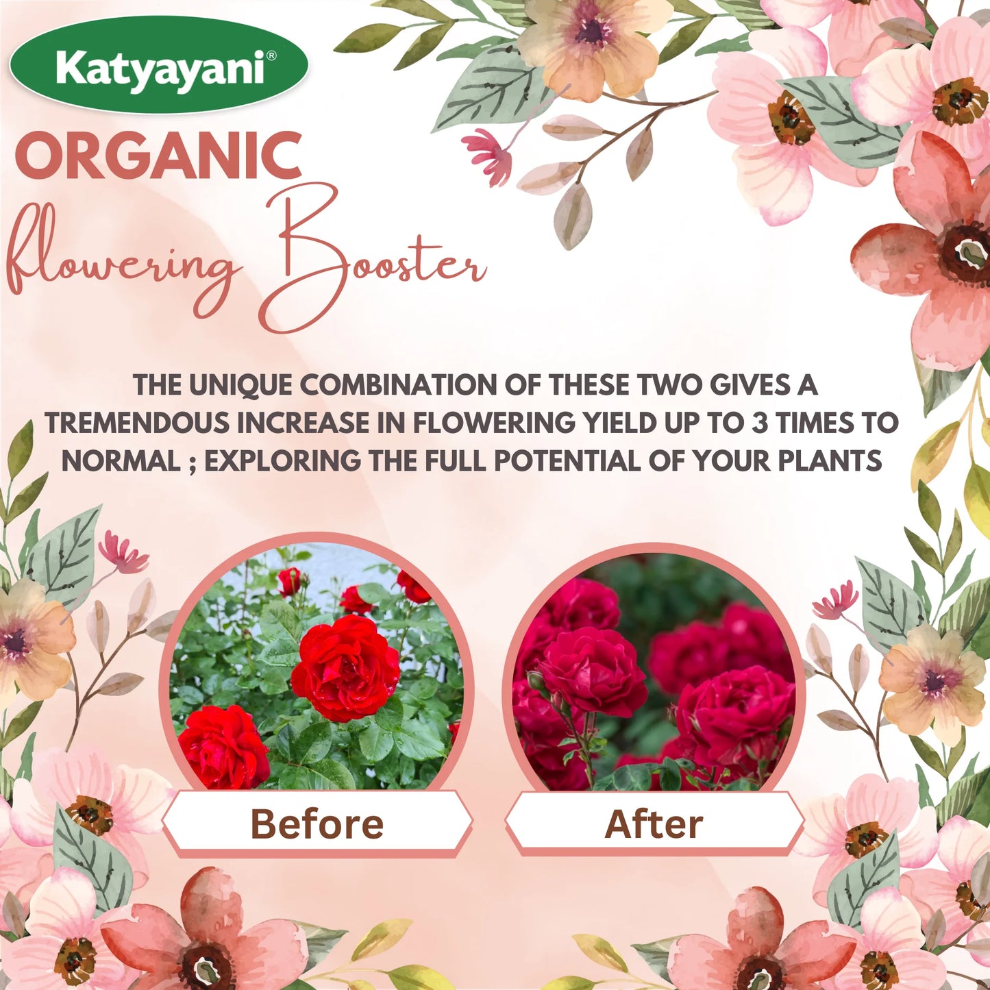 Katyayani Flowering Booster Fertilizer | Organic Fertilizers 