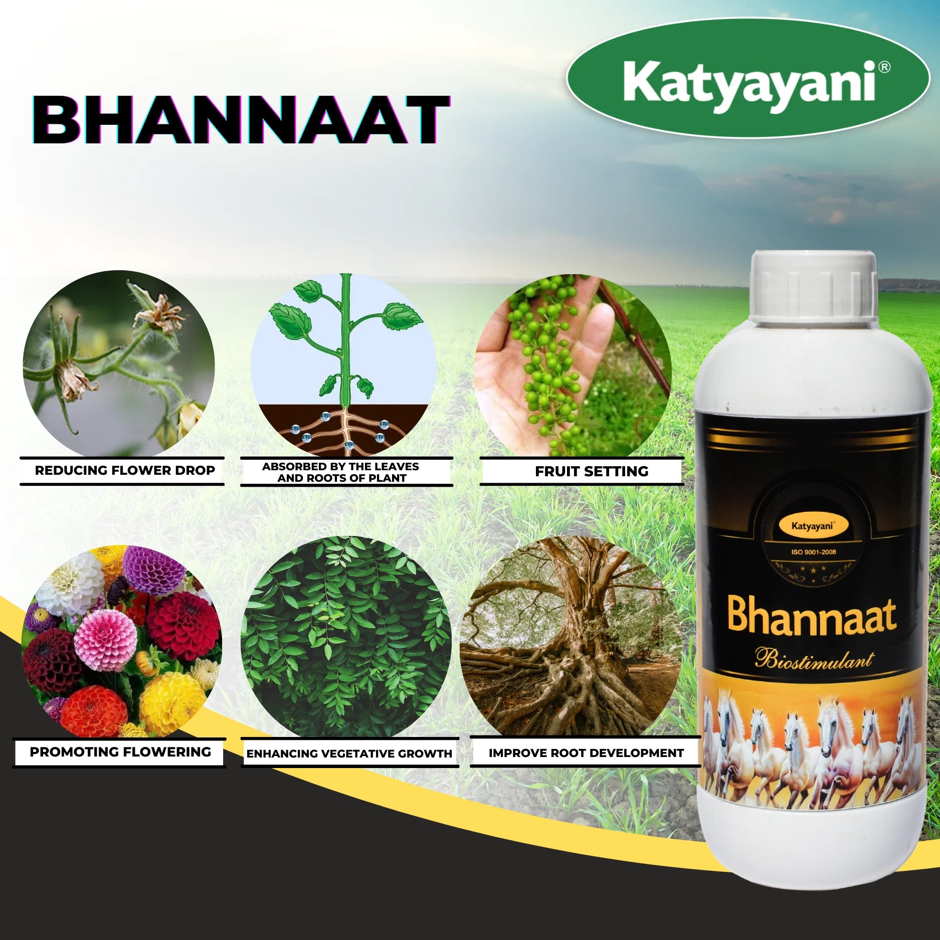 Katyayani Bhannaat Bio Stimulant Plant Growth regulator for fruit setting & improve root development & more