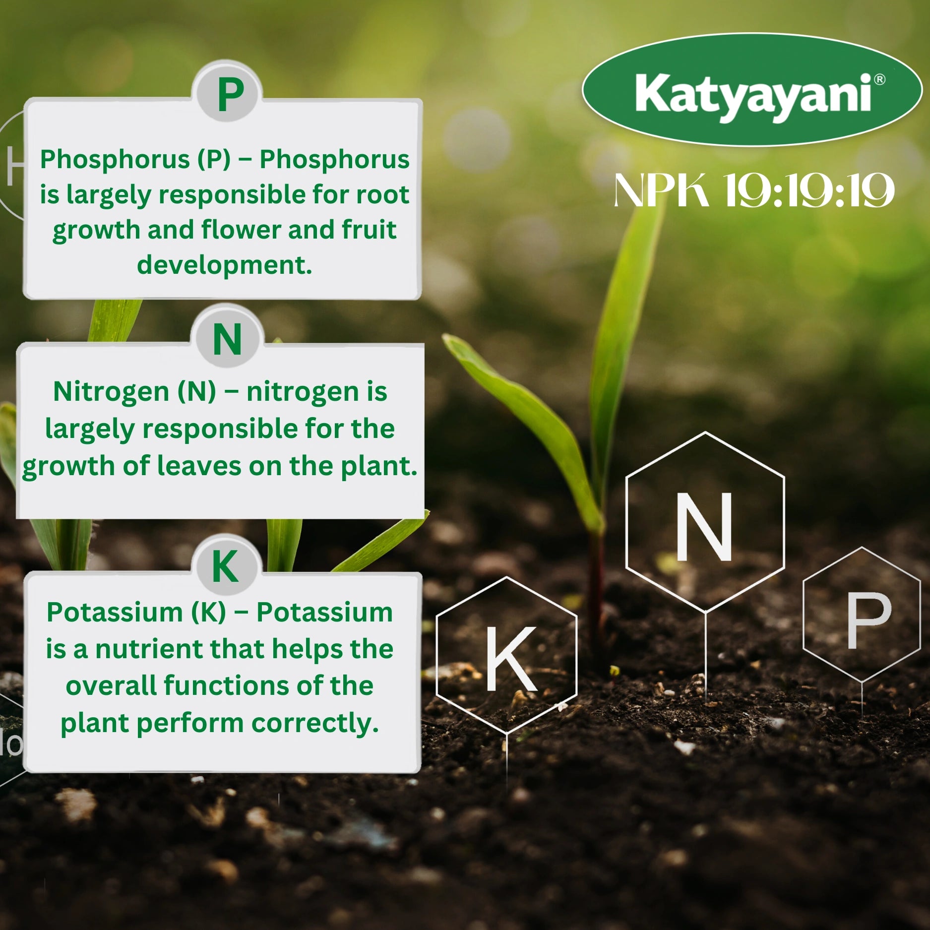 Katyayani NPK 19 19 19 100% Water Soluble Fertilizer