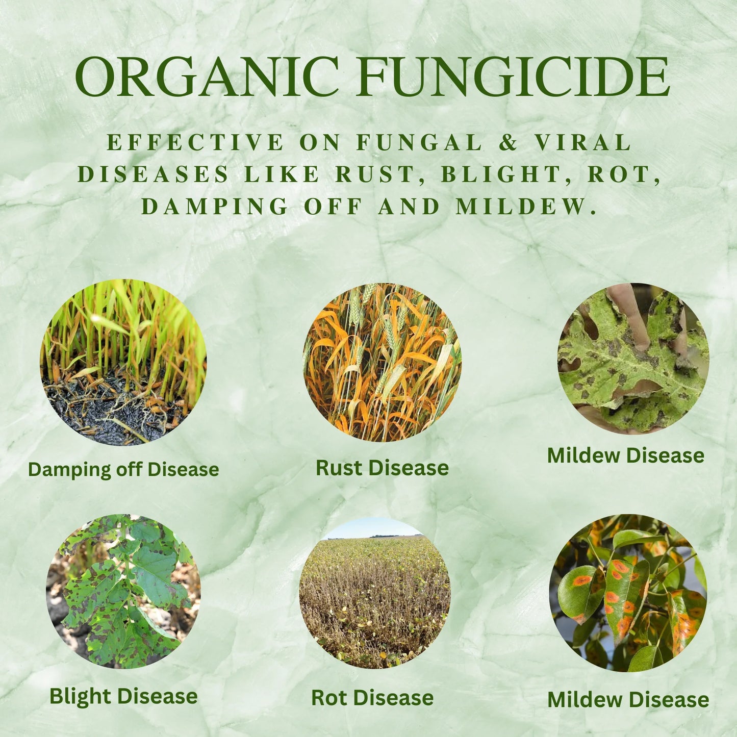 KATYAYANI ALL IN ONE | ORGANIC FUNGICIDE  for diseases like rot, mildew, blight