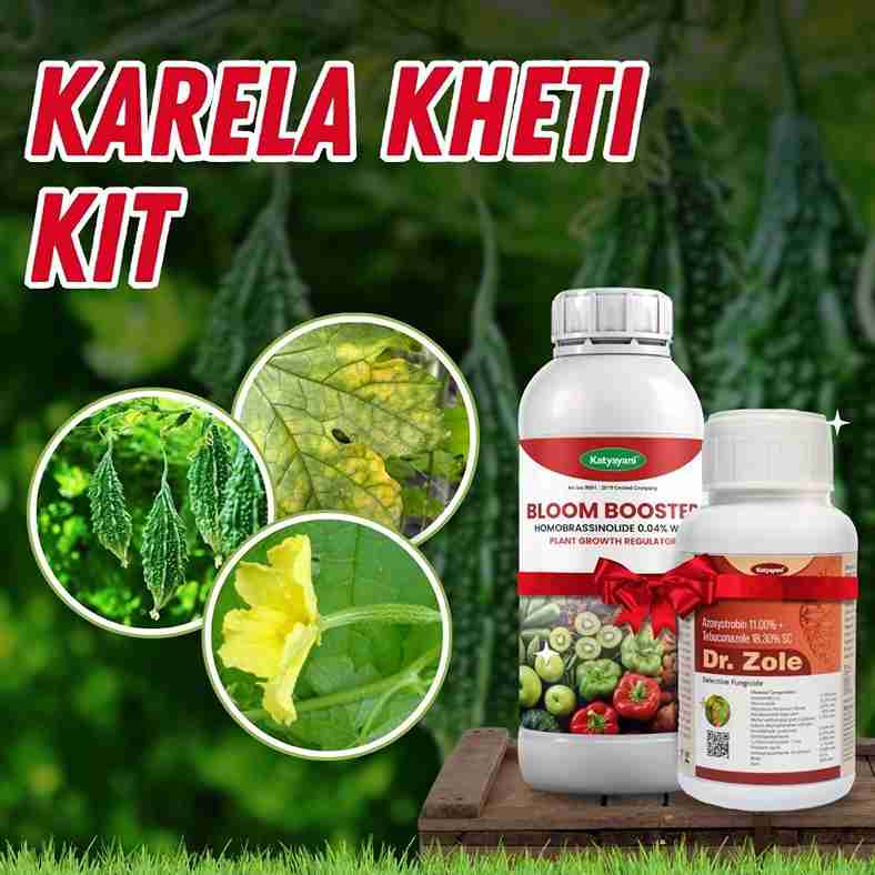 Katyayani Karela Kheti Kit Combo – Boost Flowering & Protect Against Diseases