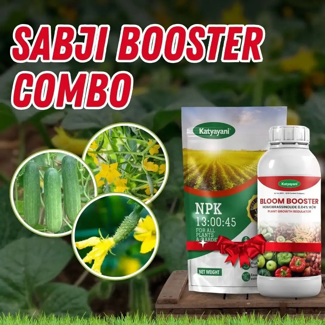 katyayani Sabji Booster Combo