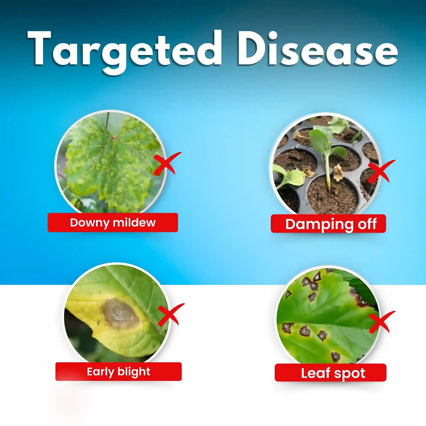 Katyayani Meta - Manco | Metalaxyl 8 % + Mancozeb 64 % wp | Chemical fungicide for damping off, leaf spot