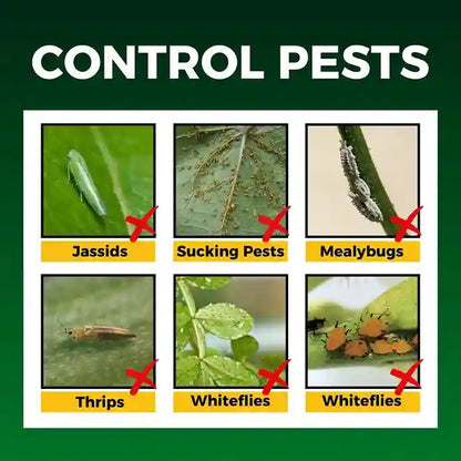 Target pest of Sarvashakti Organic pesticide is sucking pest, jassids and more