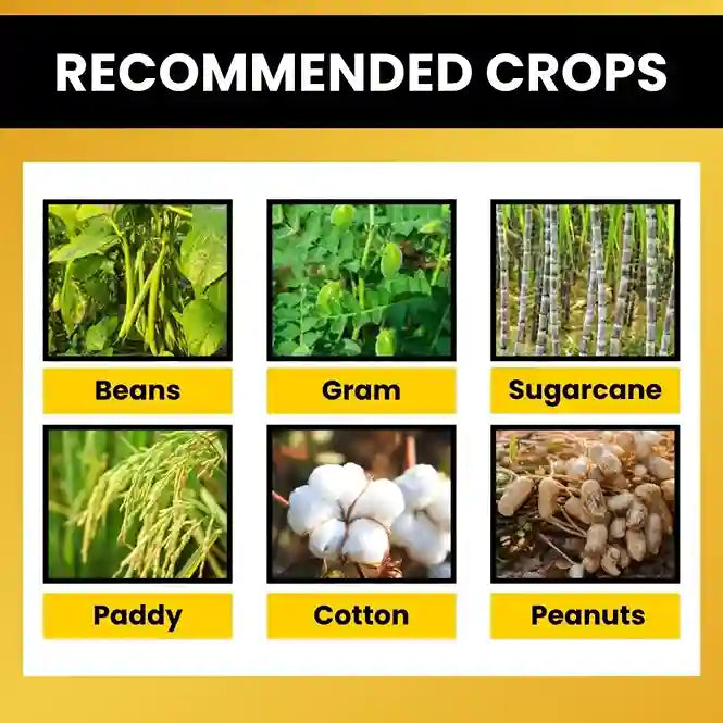 Target crops of Chloropyriphos 10% GR