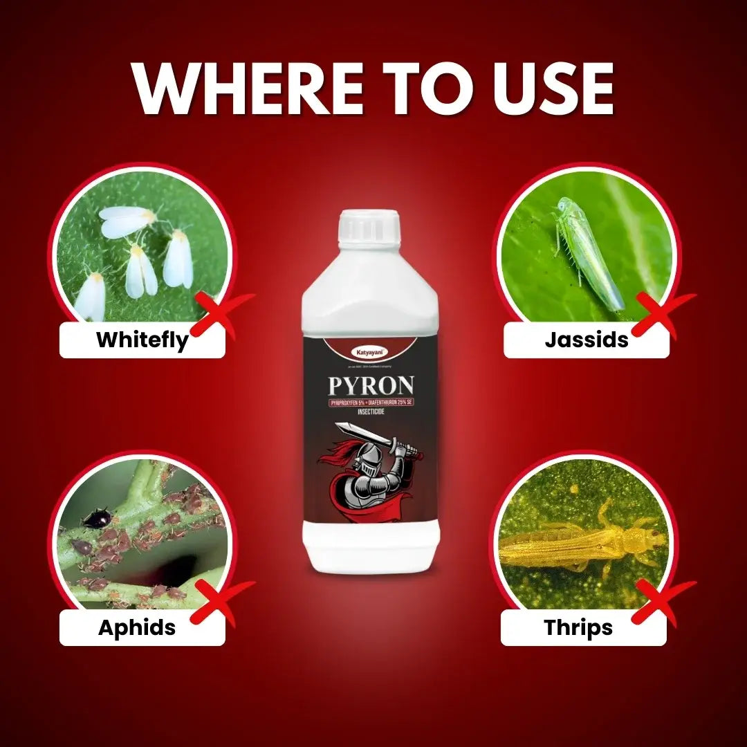 Katyayani PYRON (Pyriproxyfen 5% + Diafenthiuron 25% se) - Insecticide for whitefly, jassids and thrips 