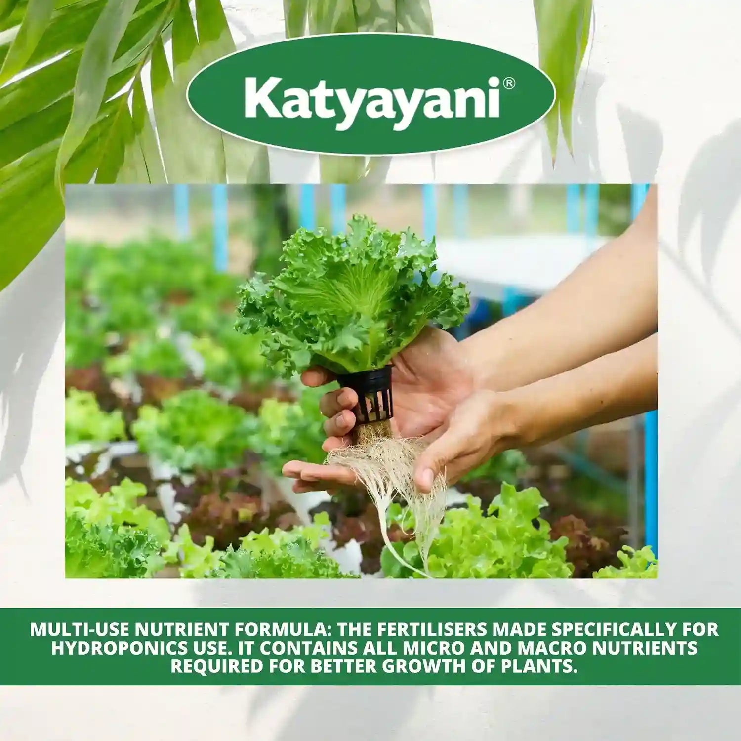 Hydroponics All in One Combo Katyayani Organics