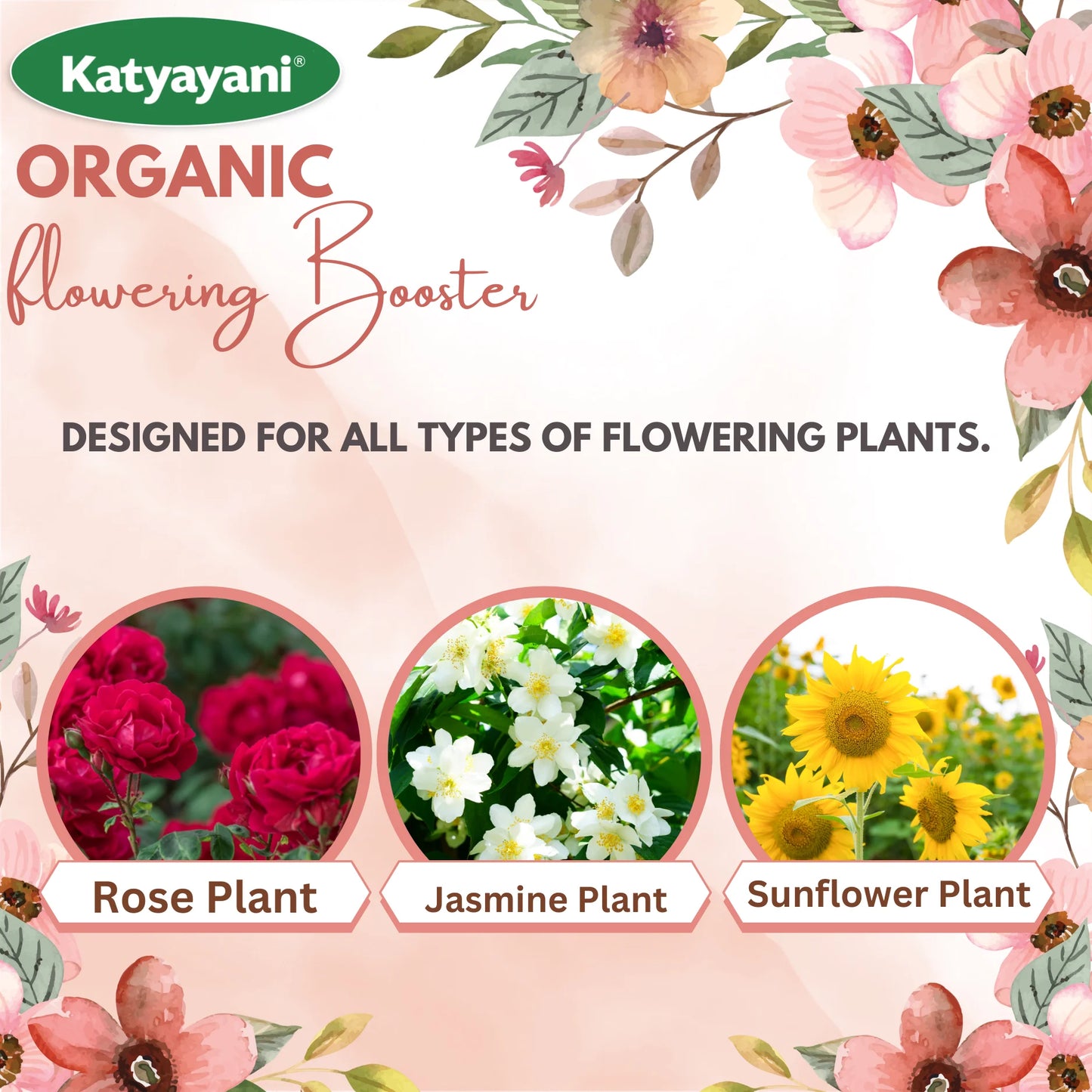 Katyayani Flowering Booster Fertilizer | Organic Fertilizers for rose, sunflower
