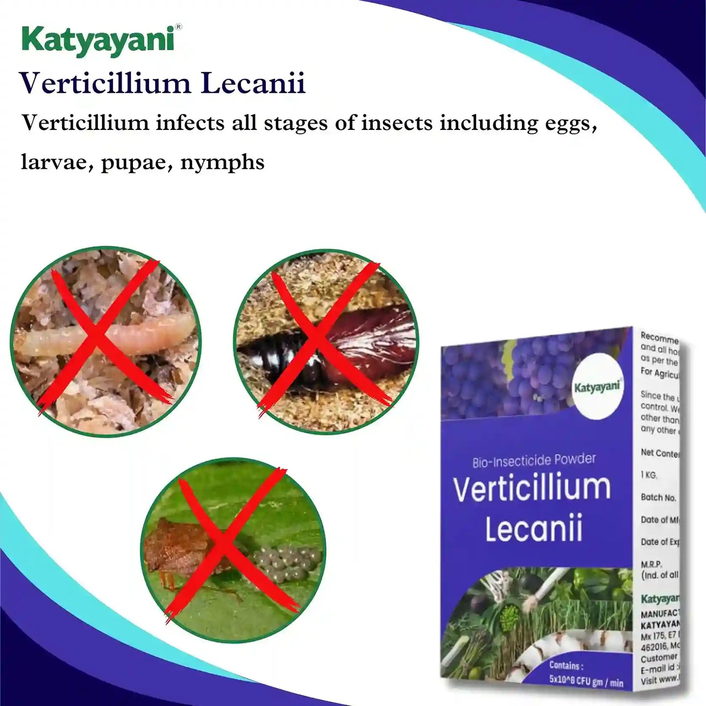 Katyayani Verticillium Lecanii Bio Insecticide Powder for all insects