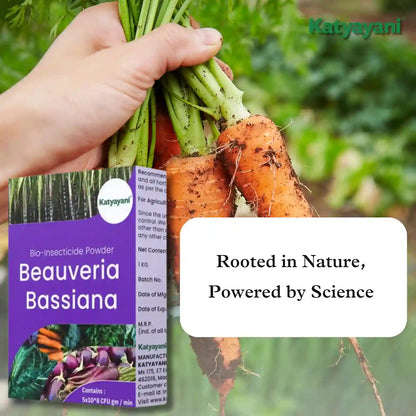 Katyayani Beauveria Bassiana Bio Insecticide Powder ( rooted in nature)
