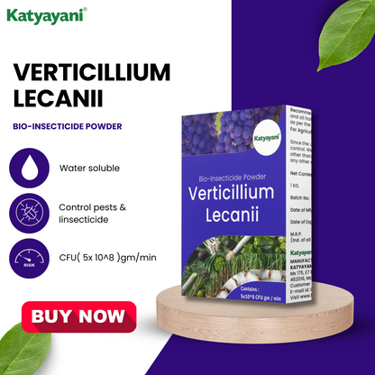 Katyayani Verticillium Lecanii Bio Insecticide Powder