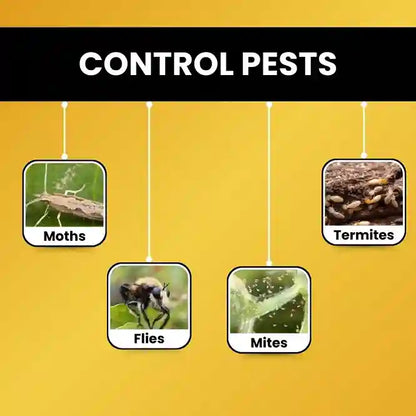 Target pests of Chloropyriphos 10% GR