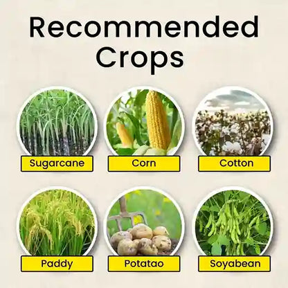 Target crops of Metarhizium Anisopliae Bio insecticide