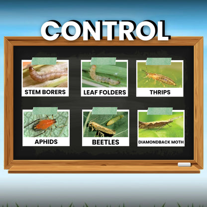KATYAYANI JOKER | FIPRONIL 80% WDG | CHEMICAL INSECTICIDE Control aphids, beetles