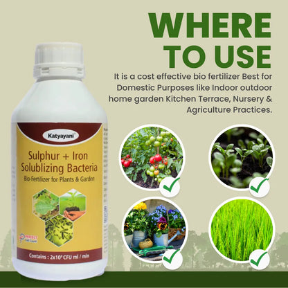Katyayani  Sulphur & Iron Bacteria Bio fertilizer for kitchen, nursery and agriculture use