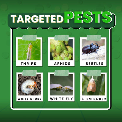 KATYAYANI NASHAK | FIPRONIL 40% + IMIDACLOPRID 40% WG | CHEMICAL INSECTICIDE Targeted pests