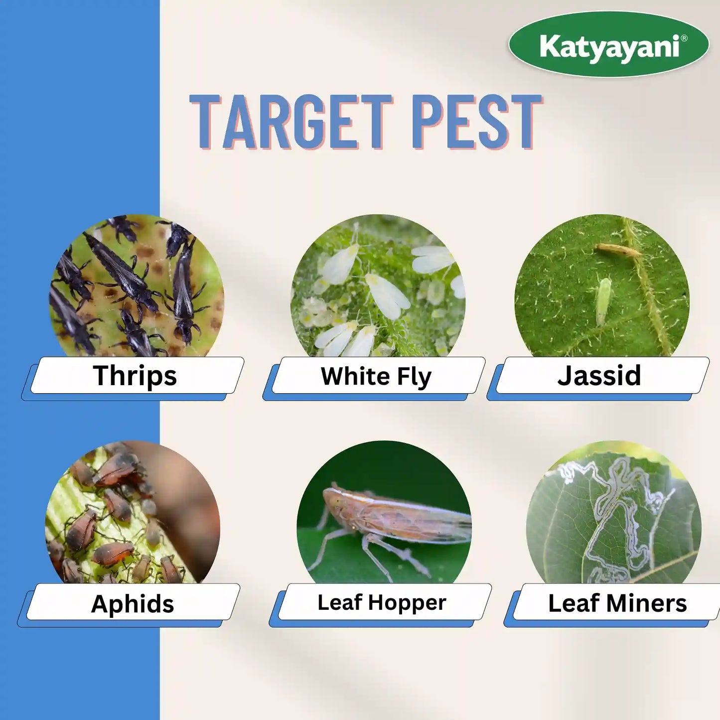 Katyayani Spinosad 45 % sc - SPINO45- Insecticide for insects like thrips & jassid