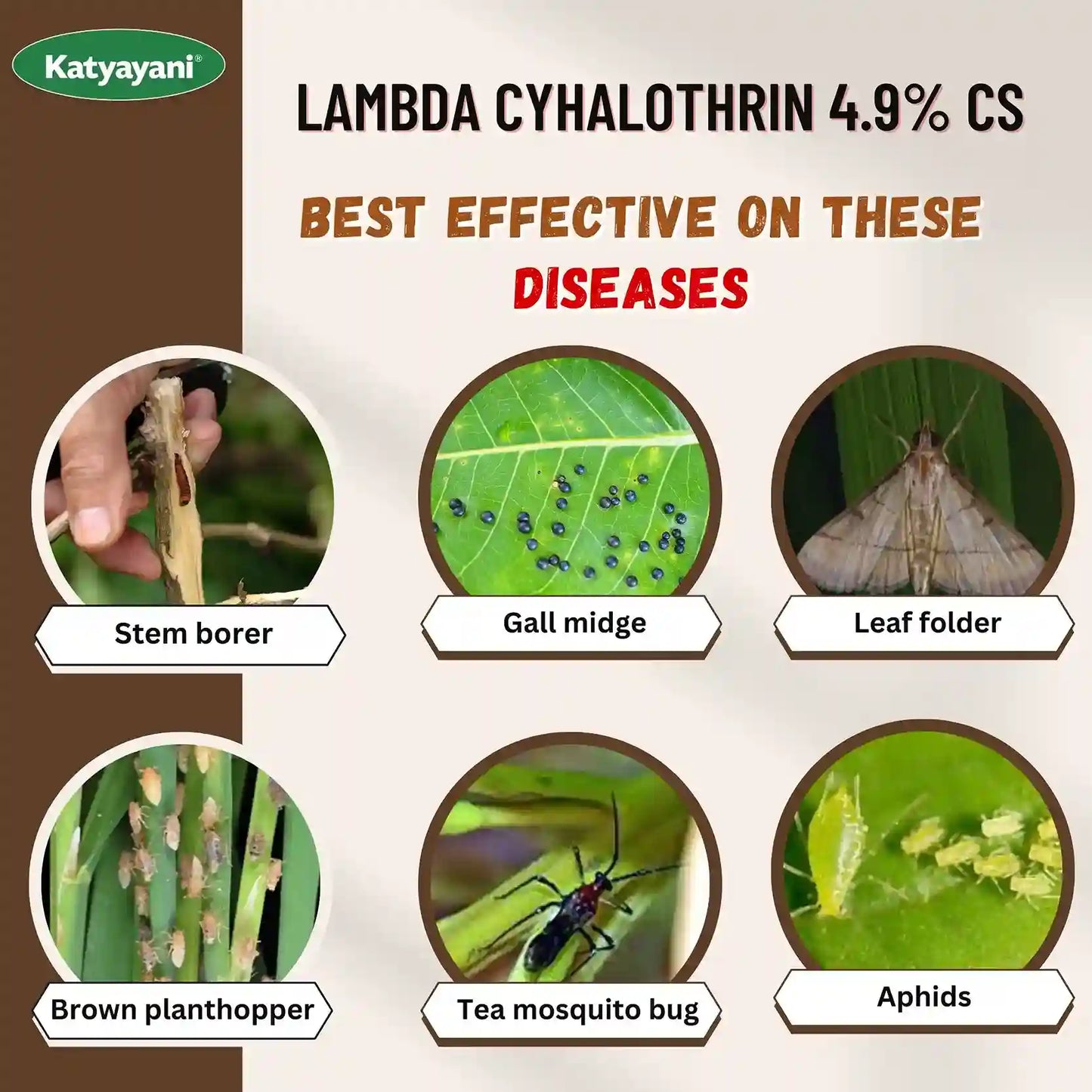 Katyayani Attack-CS (Lambda-Cyhalothrin 4.9 % cs) -Insecticide for disease