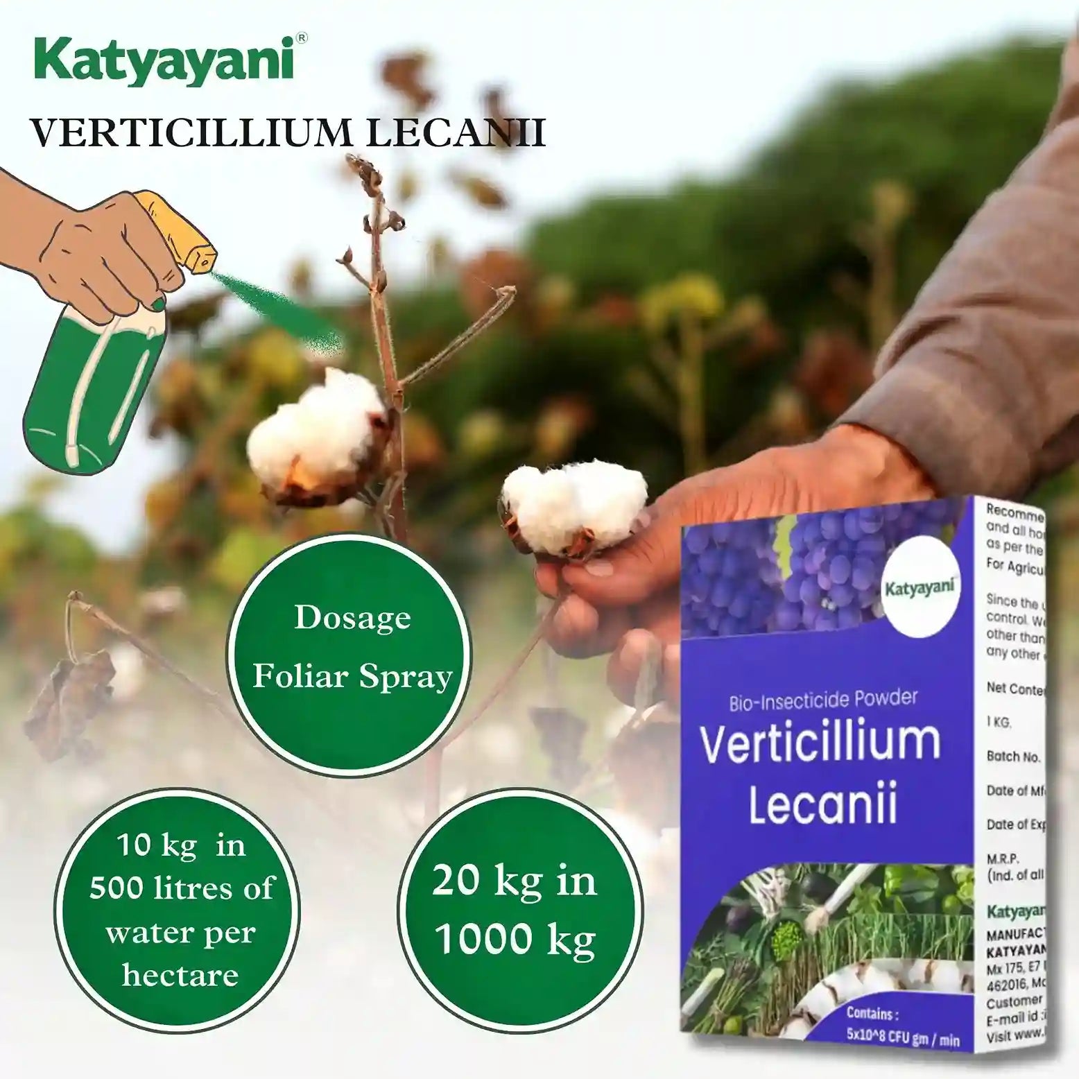 Katyayani Verticillium Lecanii Bio Insecticide Powder dosage