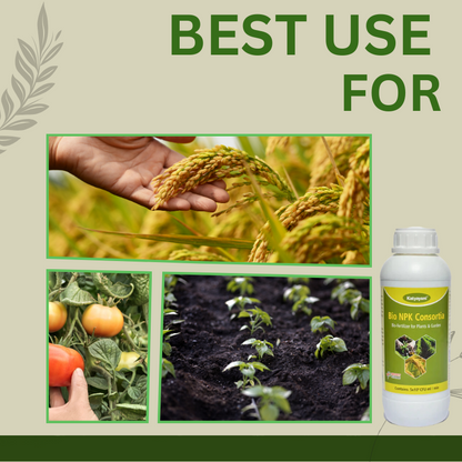 katyayani Bio NPK Liquid Consortia-Fertilizer best for wheat