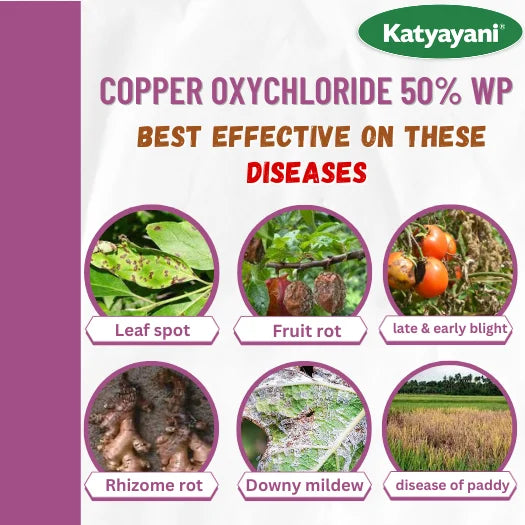 Katyayani  COC50 | Copper Oxychloride 50% WP Fungicide for diseases leaf spot, fruit rot, late early blight