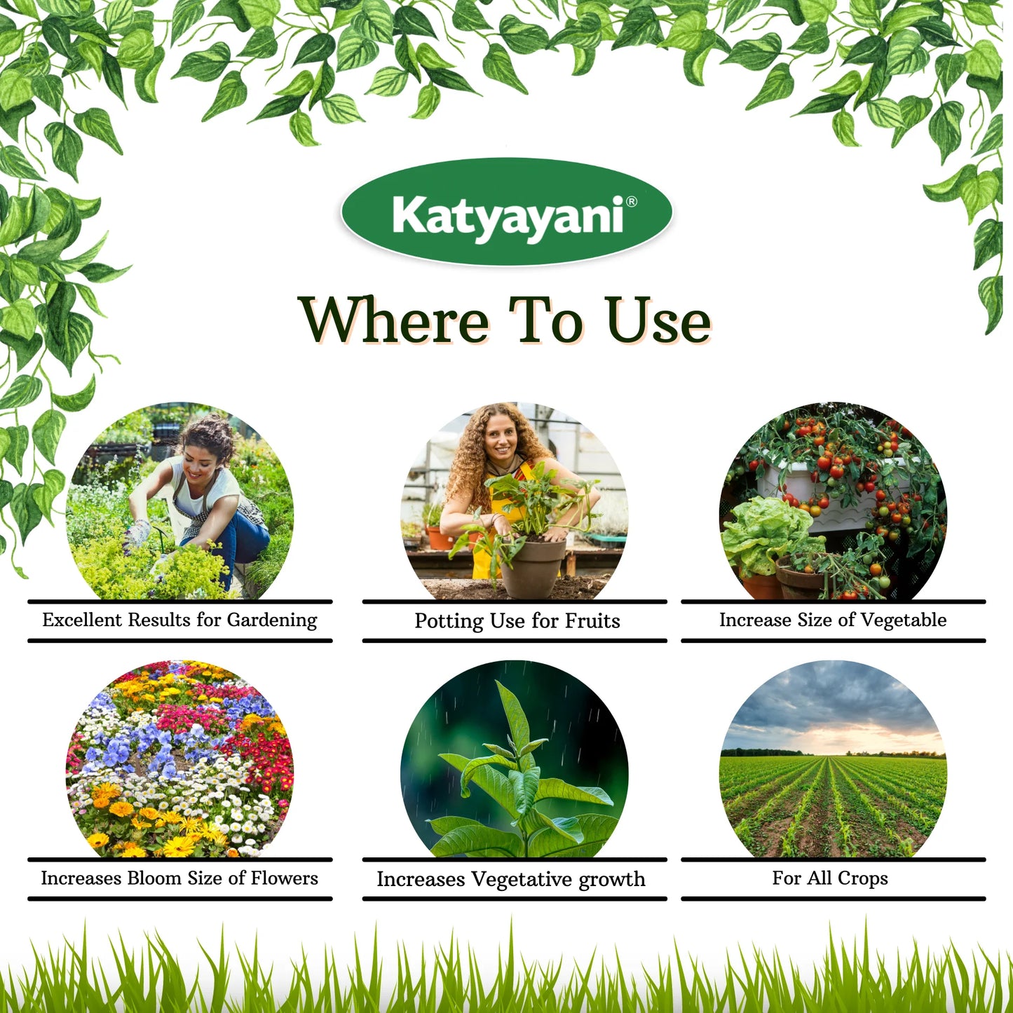 Katyayani  Premium Seaweed Extract liquid-Organic Fertilizer for all crops